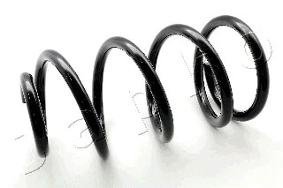 Suspension Spring (ZCJ2798C)