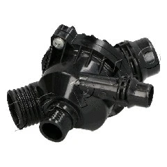 Thermostat, coolant (38BM02)