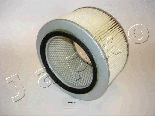 Air Filter (20807)