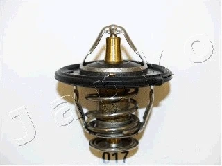 Thermostat, coolant (2217)