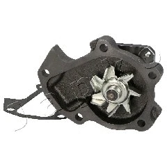 Water Pump, engine cooling (35610)
