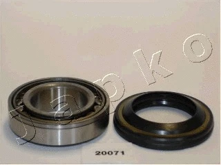 Wheel Bearing Kit (420071)