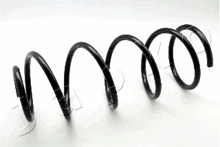 Suspension Spring (ZCJ2147C)