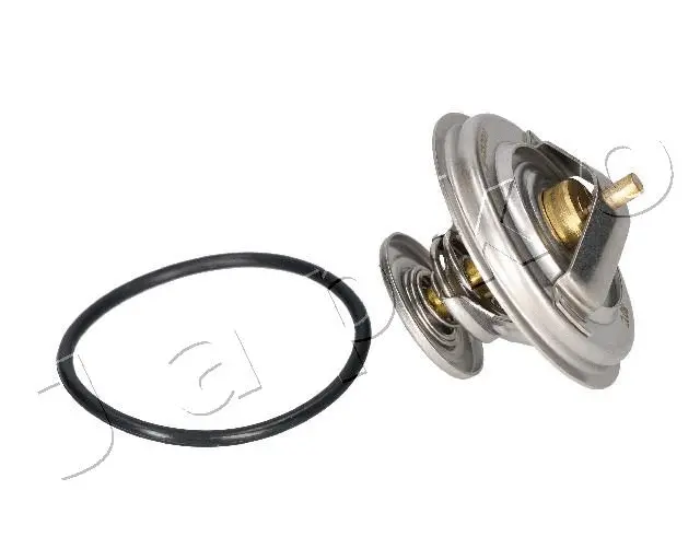 Thermostat, coolant (380101)