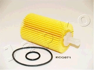 Oil Filter (1ECO071)