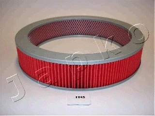 Air Filter (20124)