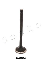Exhaust Valve (5SZ003)
