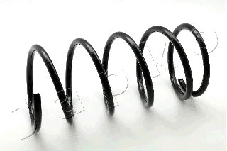 Suspension Spring (ZCJ2449D)