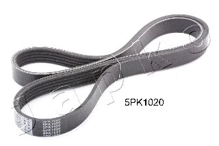 V-Ribbed Belt (5PK1020)