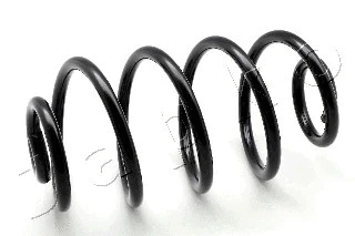 Suspension Spring (ZCJ6791X)