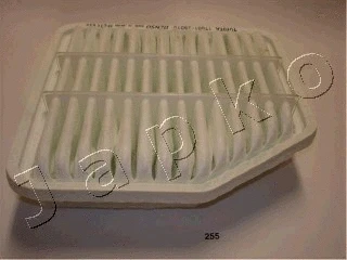 Air Filter (20255)