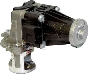 EGR Valve (1500308)