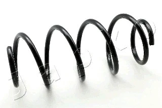 Suspension Spring (ZCJ1713H)