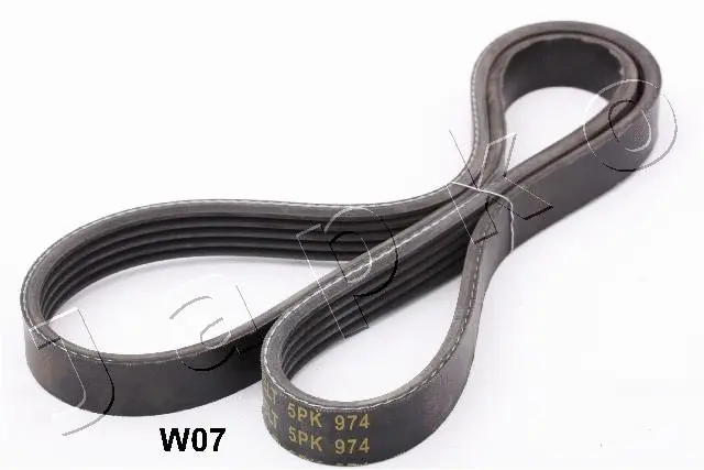 V-Ribbed Belt (96W07)