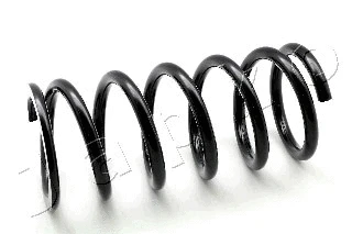 Suspension Spring (ZCJ6255A)