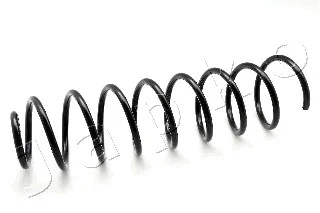 Suspension Spring (ZCJ2313C)