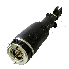 Air Suspension Strut (MJAS081)