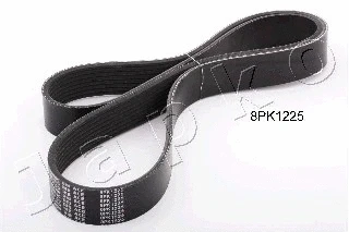 V-Ribbed Belt (8PK1225)