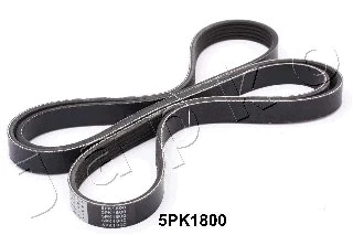 V-Ribbed Belt (5PK1800)