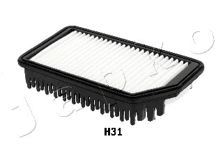 Air Filter (20H31)