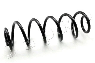 Suspension Spring (ZCJ6104A)
