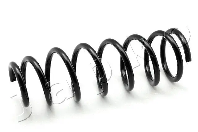 Suspension Spring (ZCJ6543G)