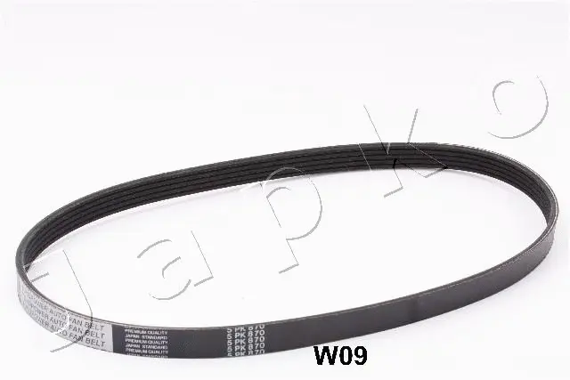 V-Ribbed Belt (96W09)
