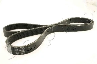 V-Ribbed Belt (6PK1560)