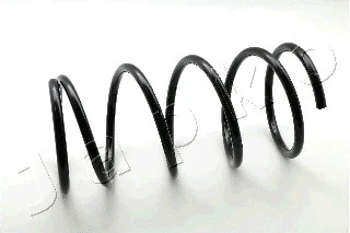 Suspension Spring (ZCJ3436C)