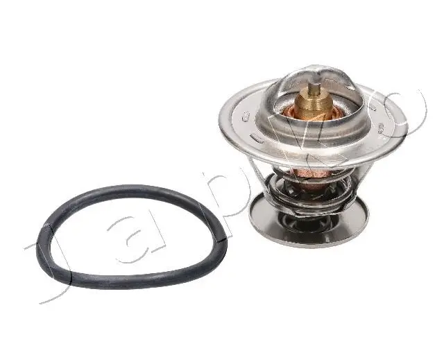 Thermostat, coolant (380905)