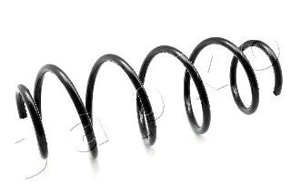 Suspension Spring (ZCJ3563H)