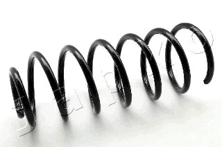 Suspension Spring (ZCJ1703C)