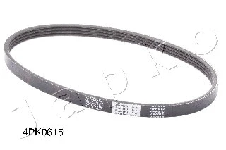 V-Ribbed Belt (4PK615)