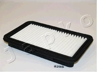 Air Filter (20829)