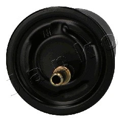 Fuel Filter (30520)