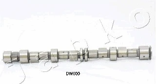 Camshaft (6DW000)
