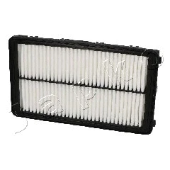 Air Filter (20K38)