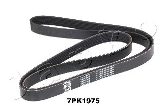V-Ribbed Belt (7PK1975)