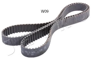 Timing Belt (40W09)
