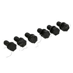 Bolt, flywheel ring gear carrier (54H04)