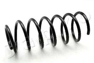 Suspension Spring (ZCJ2893C)