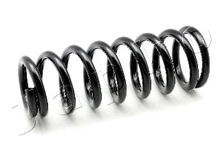 Suspension Spring (ZCJ2553F)