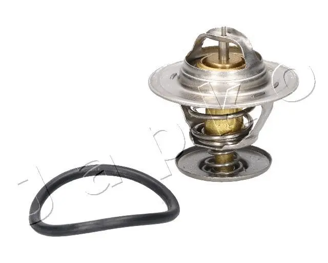 Thermostat, coolant (380900)