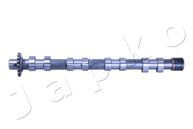 Camshaft (6FI001)
