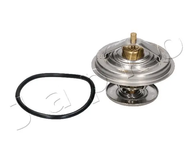 Thermostat, coolant (380100)