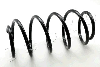 Suspension Spring (ZCJ1009H)
