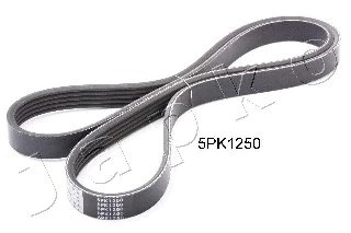 V-Ribbed Belt (5PK1250)