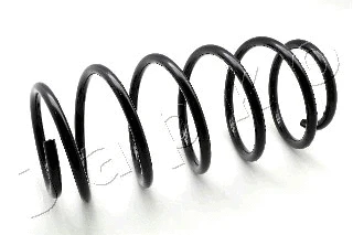 Suspension Spring (ZCJ1008H)