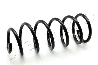 Suspension Spring (ZCJ1076C)