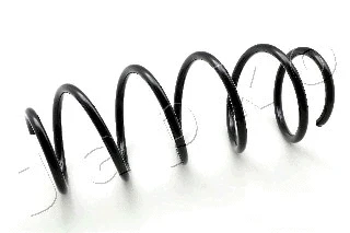Suspension Spring (ZCJ2954H)